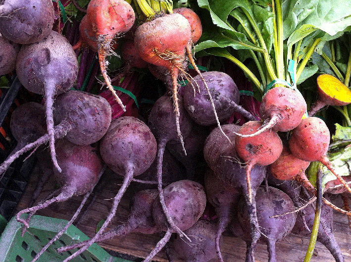 There are many varieties of beetroot