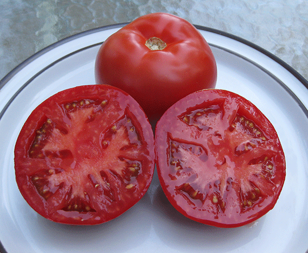 Tomato 'Beefsteak'