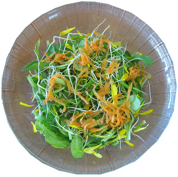 Salad using Calendula petals