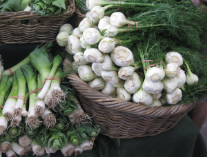 Fennel at a Market Stall